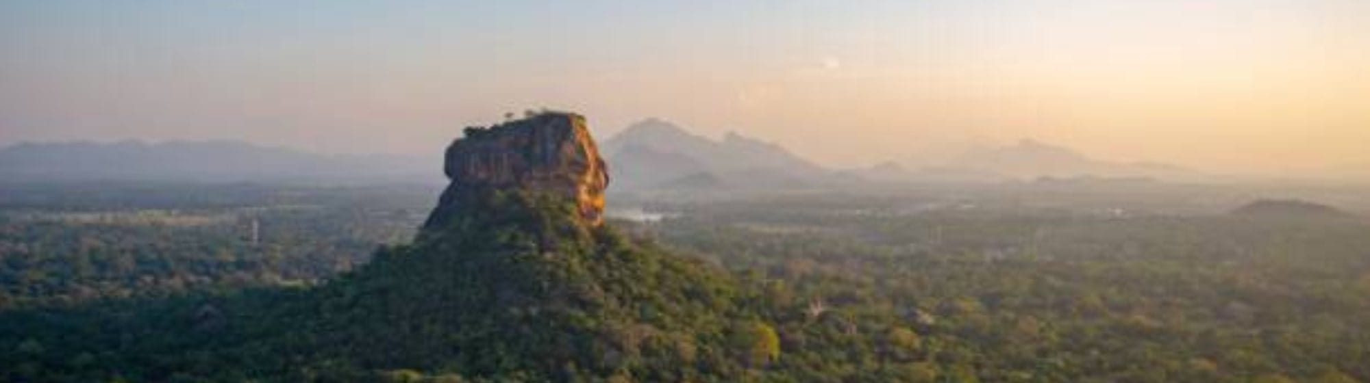 Photo paysage de la jungle sri lankaise. 