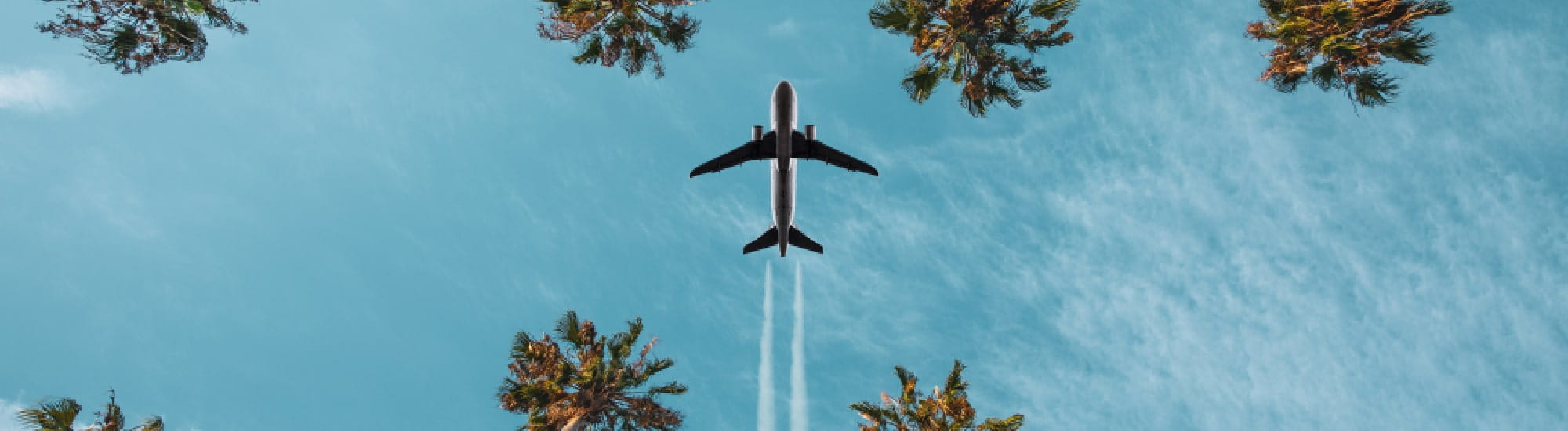 Un avion dans un ciel bleu avec des palmiers. 