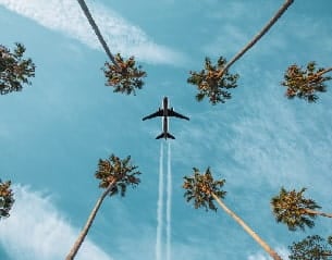 Un avion dans un ciel bleu avec des palmiers. 