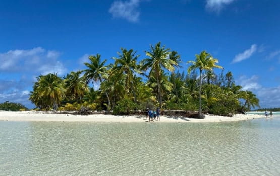 Une île remplie de palmiers